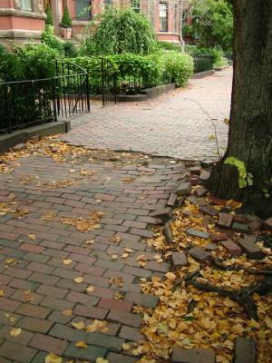 Autumn in Back Bay