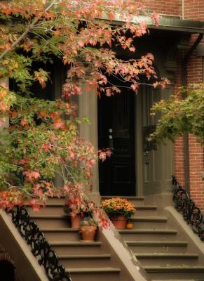 Autumn in the South End III