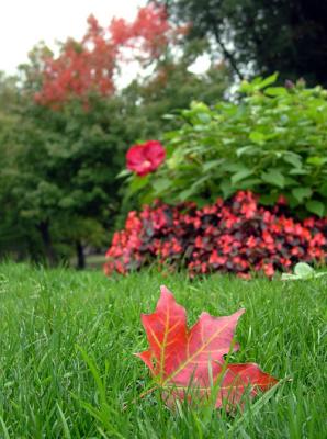 Autumn, Public Garden