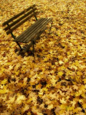 Autumn Bench, Brattleboro, VT