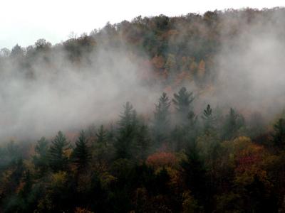 Foggy Fall Morning, VT