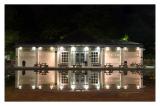 Frog Pond at Night
