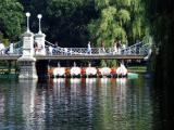 Public Garden