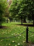 Autumn, Public Garden IV
