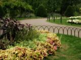 Autumn, Public Garden VII