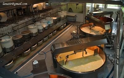 Cheese Factory In Gruyere