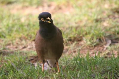 IMG_7847.jpg