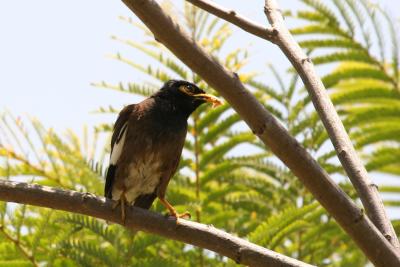 IMG_7957.jpg