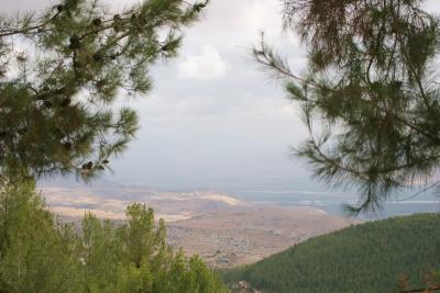 View from Biria forest