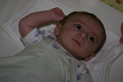 IMG_8725.JPG