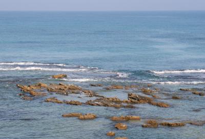 Birds island