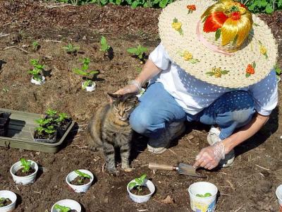 v3/19/32719/3/44185807.Colorfull_Migrant_worker_with_Exterminator.jpg