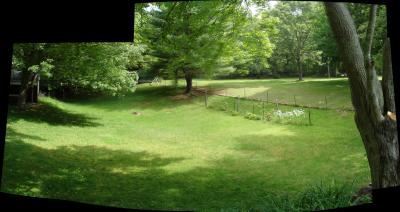 the_buehler_estate