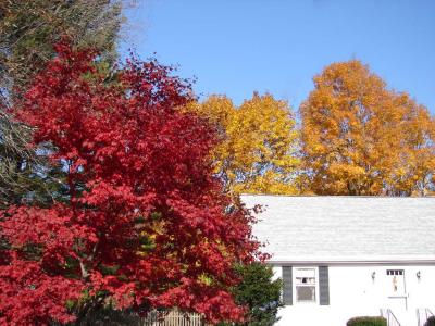 Fall_2005-0.jpg