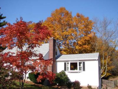 Fall_2005-5.jpg