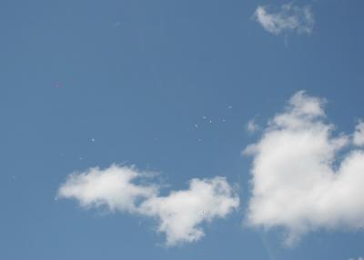 IMG_5124.jpg