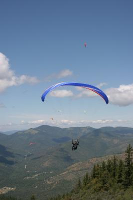 IMG_5250.jpg