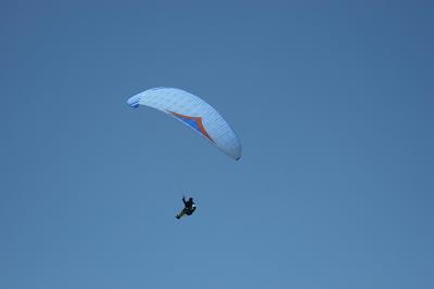 IMG_5458.jpg
