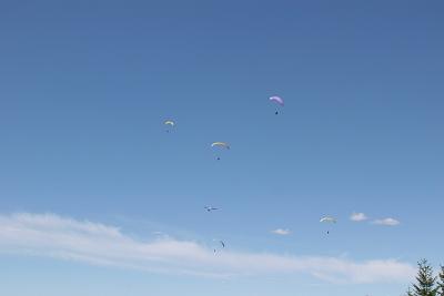 IMG_5482.jpg