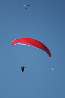 IMG_5502.jpg