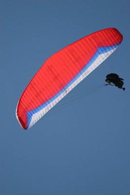 IMG_5504.jpg