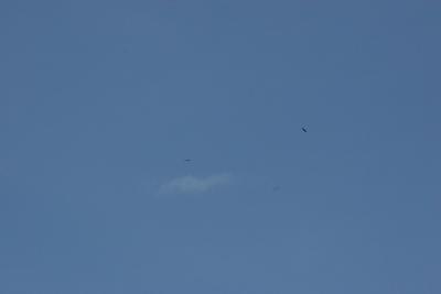 IMG_5737.jpg