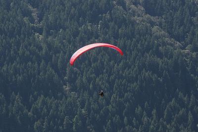 IMG_5747.jpg