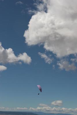 IMG_5983.jpg