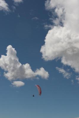 IMG_5984.jpg