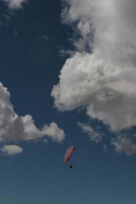 IMG_5985.jpg