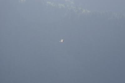IMG_6144.jpg