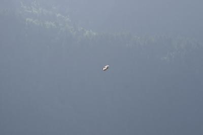 IMG_6145.jpg