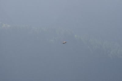 IMG_6146.jpg