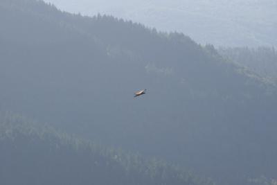 IMG_6147.jpg