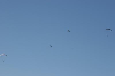 IMG_6170.jpg