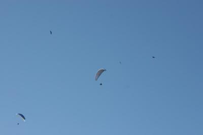 IMG_6176.jpg