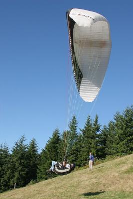 IMG_6184.jpg
