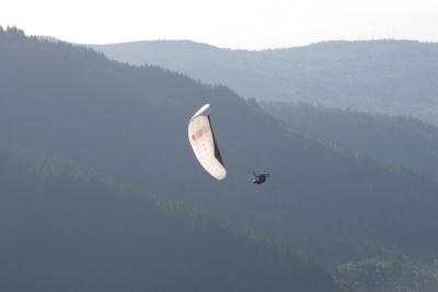 IMG_6197.jpg