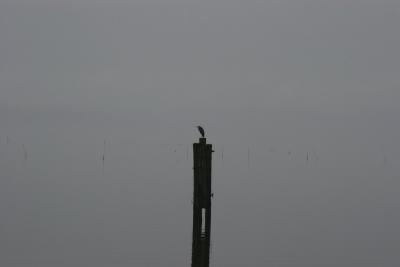 IMG_7055.jpg
