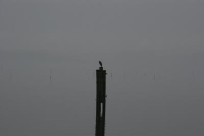 IMG_7056.jpg