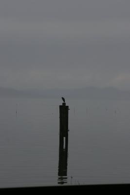 IMG_7058.jpg
