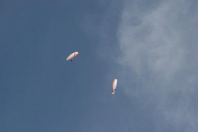IMG_7531.JPG