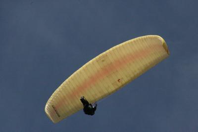 IMG_7535.JPG