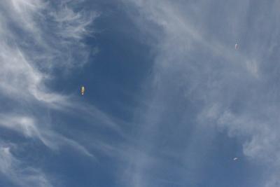 IMG_7542.JPG