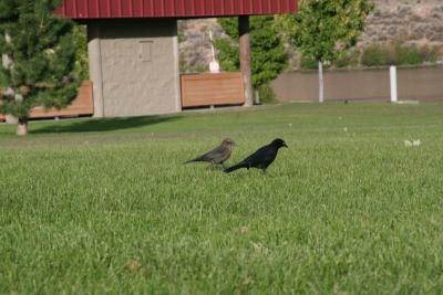 IMG_7567.JPG