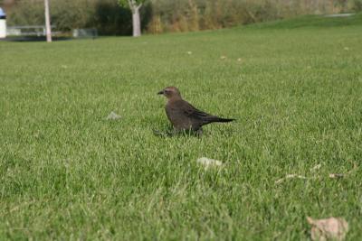 IMG_7570.JPG