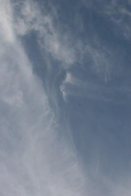 IMG_7571.JPG