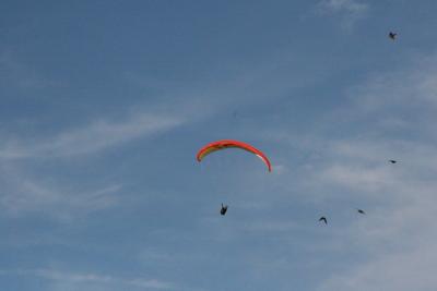 IMG_7574.JPG