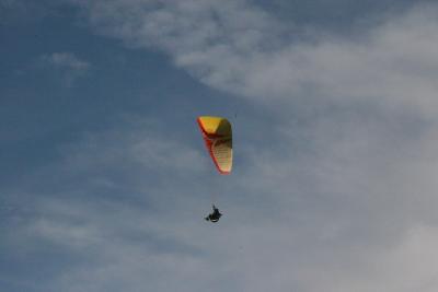 IMG_7575.JPG