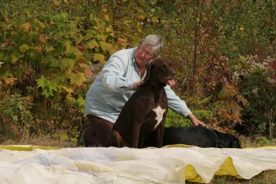 Jan and the dogs